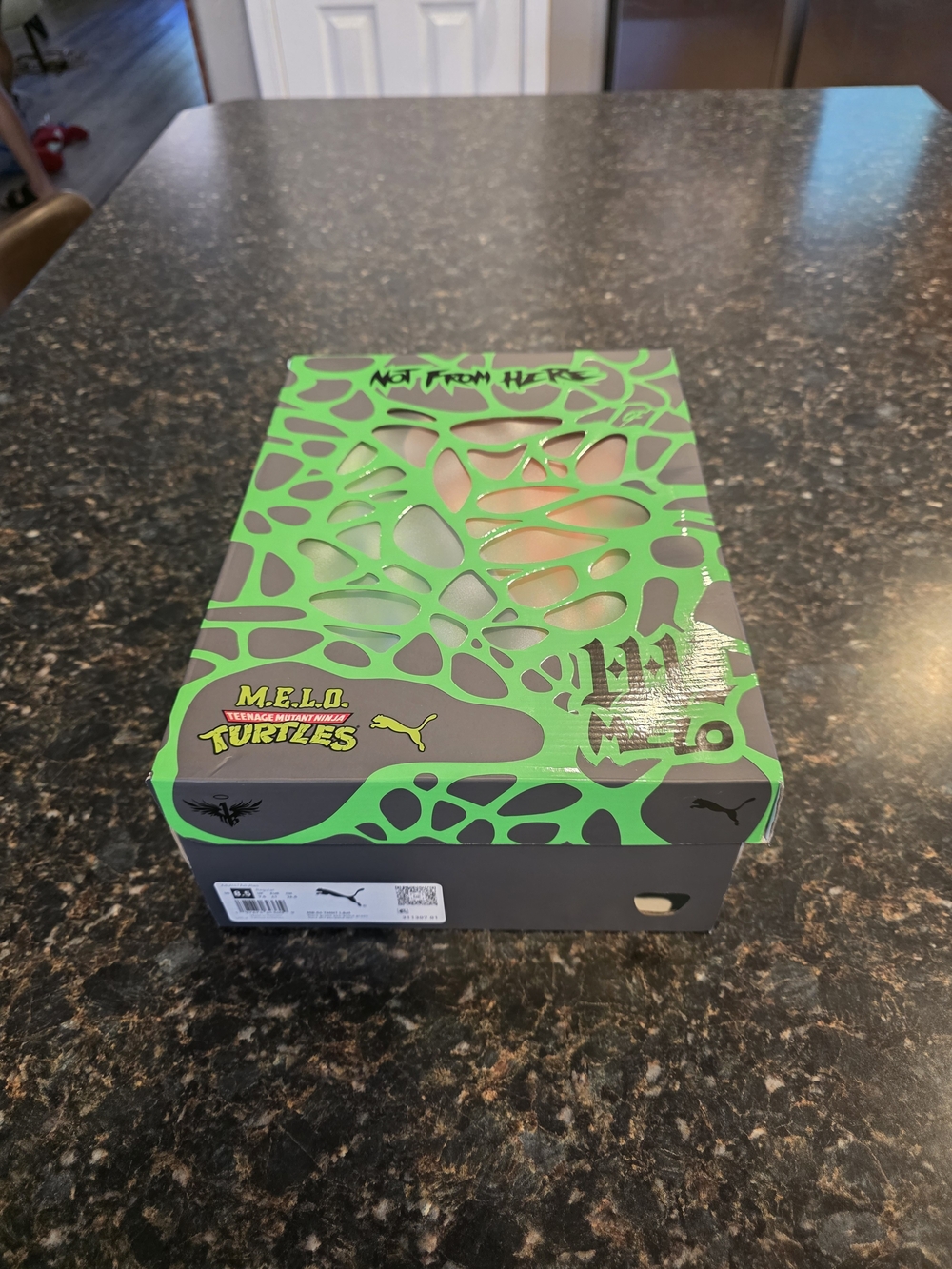 PUMA x Teenage Mutant Ninja Turtles Green Shoe Box Collector Case